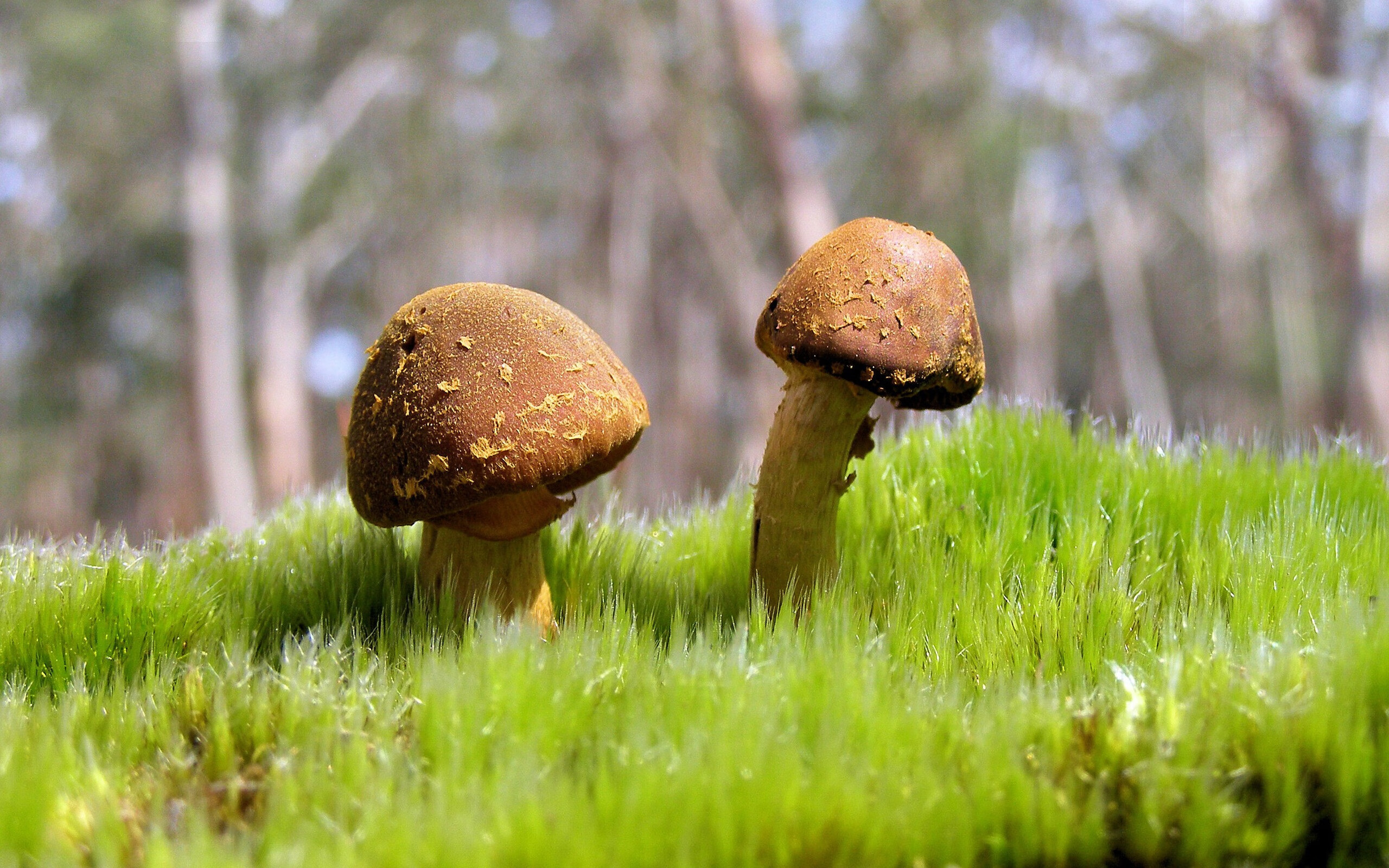 开云体育在线登入-区块链钱包：让交易透明、可信、更快捷，区块链钱包是什么意思